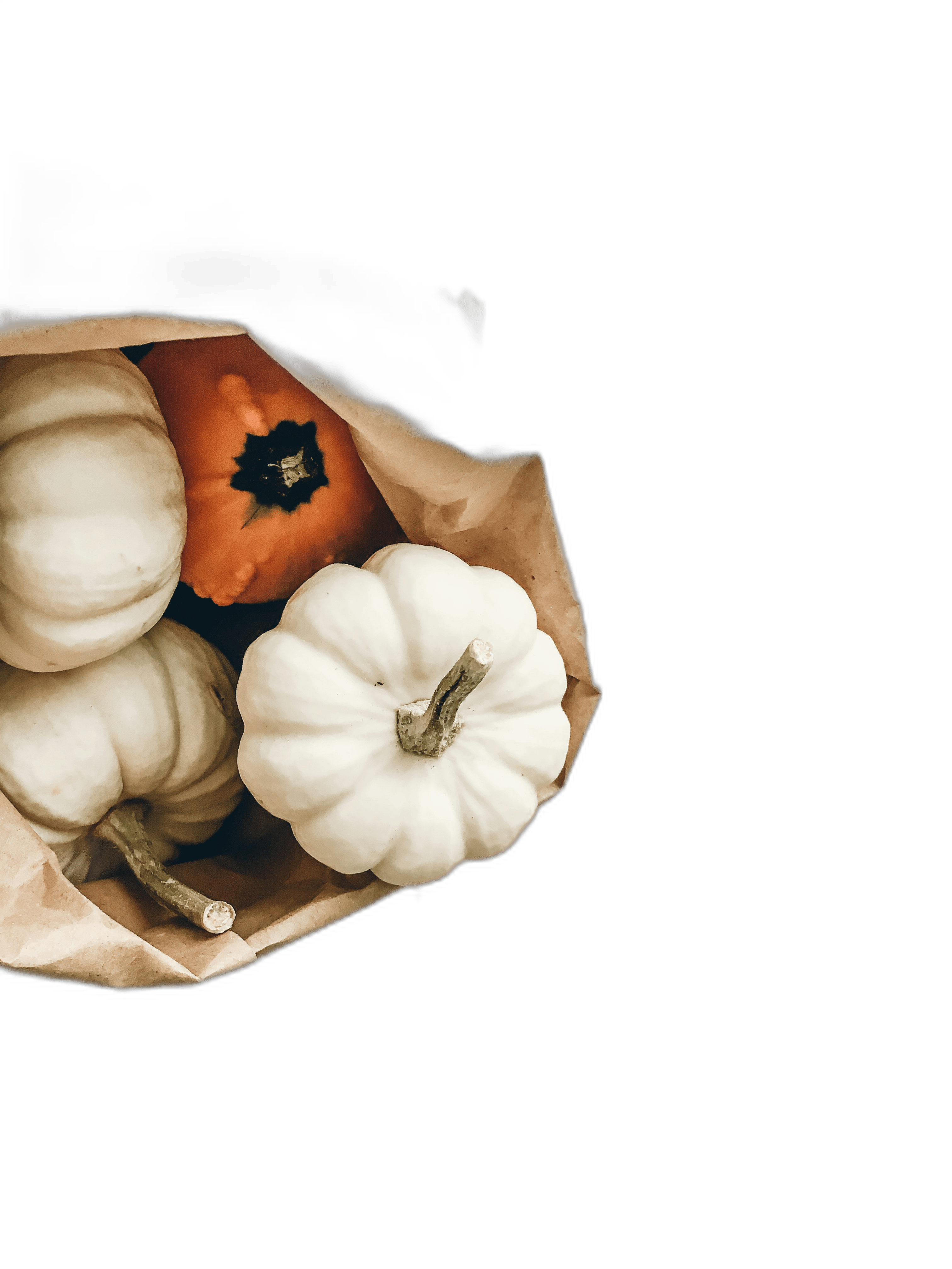 A paper bag filled with white pumpkins