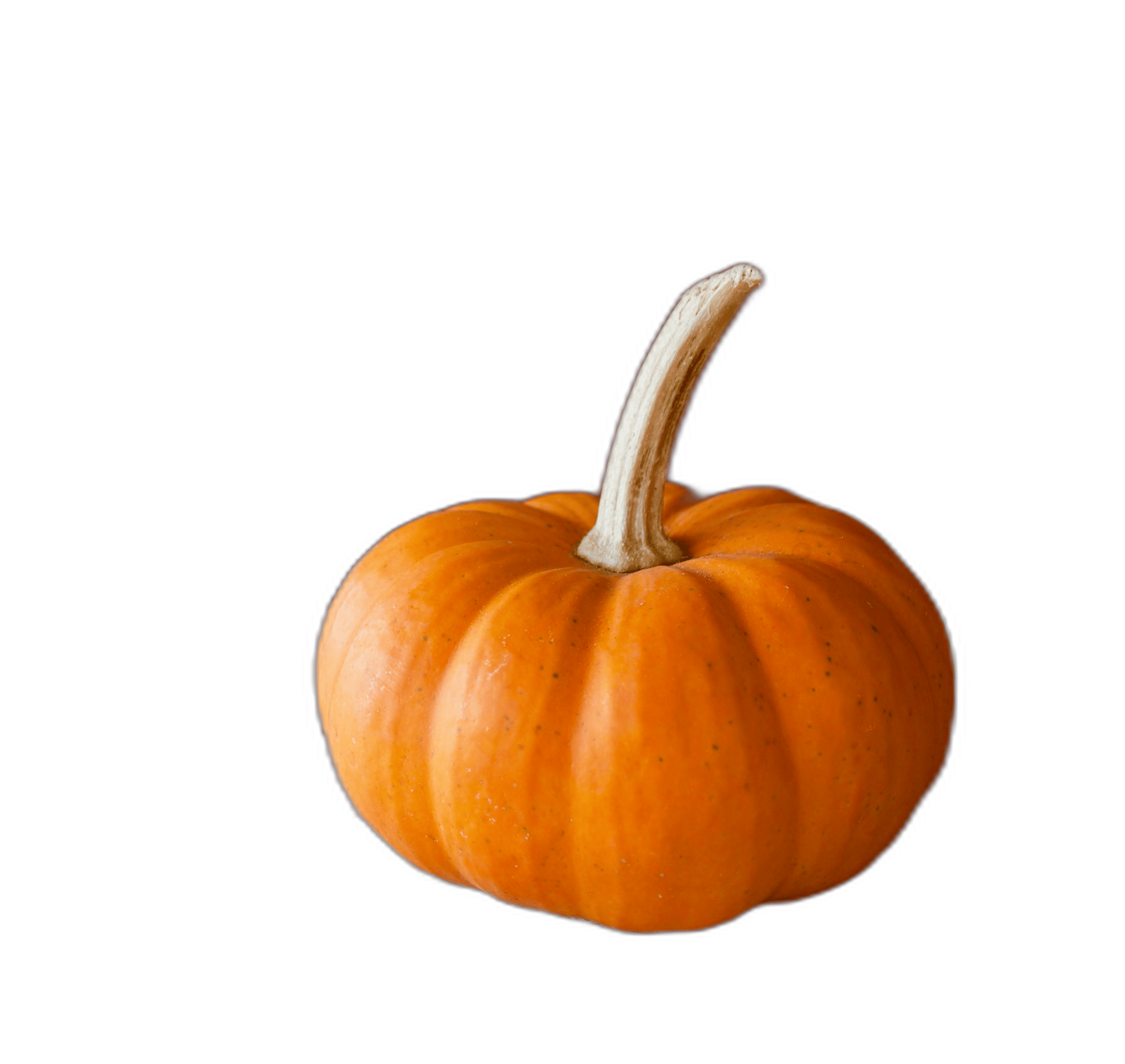 A small pumpkin sitting on a table